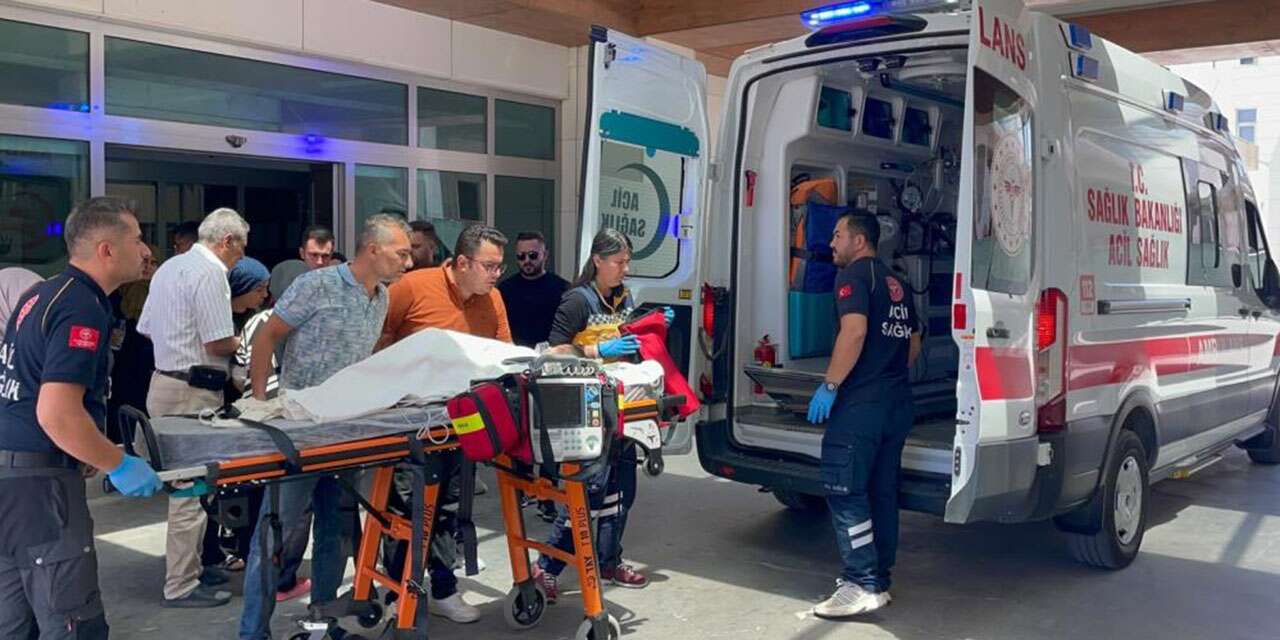 Belçika kurdunun saldırdığı 3 yaşındaki çocuk Konya'ya sevk edildi