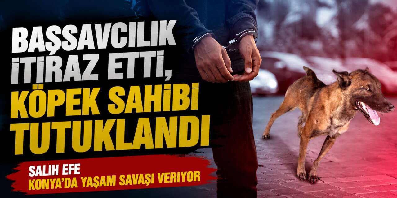 3 yaşındaki çocuğa köpek saldırısında karar değişti! Konya’da tedavi görüyor