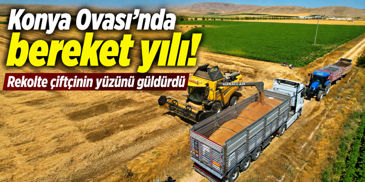 Türkiye’nin tahıl ambarı Konya’da bereket taştı! Rekolte 3,5 milyon tona ulaştı