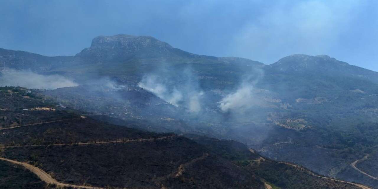 Alanya'daki orman yangını ikinci gününde! Konya ekipleri de sahada