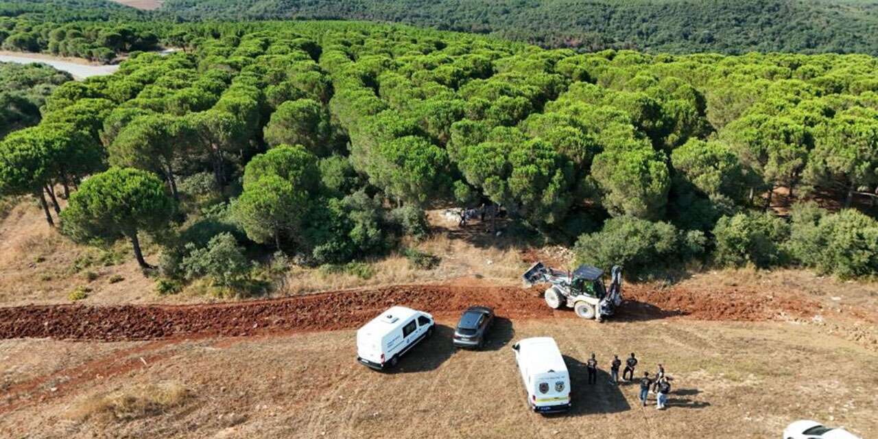 Katilinin düğün fotoğrafını çekti, ormana götürülüp öldürüldü