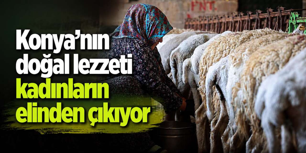 Doğal peynir üretiminin adresi Konya! Kilosu 600 liradan satılıyor