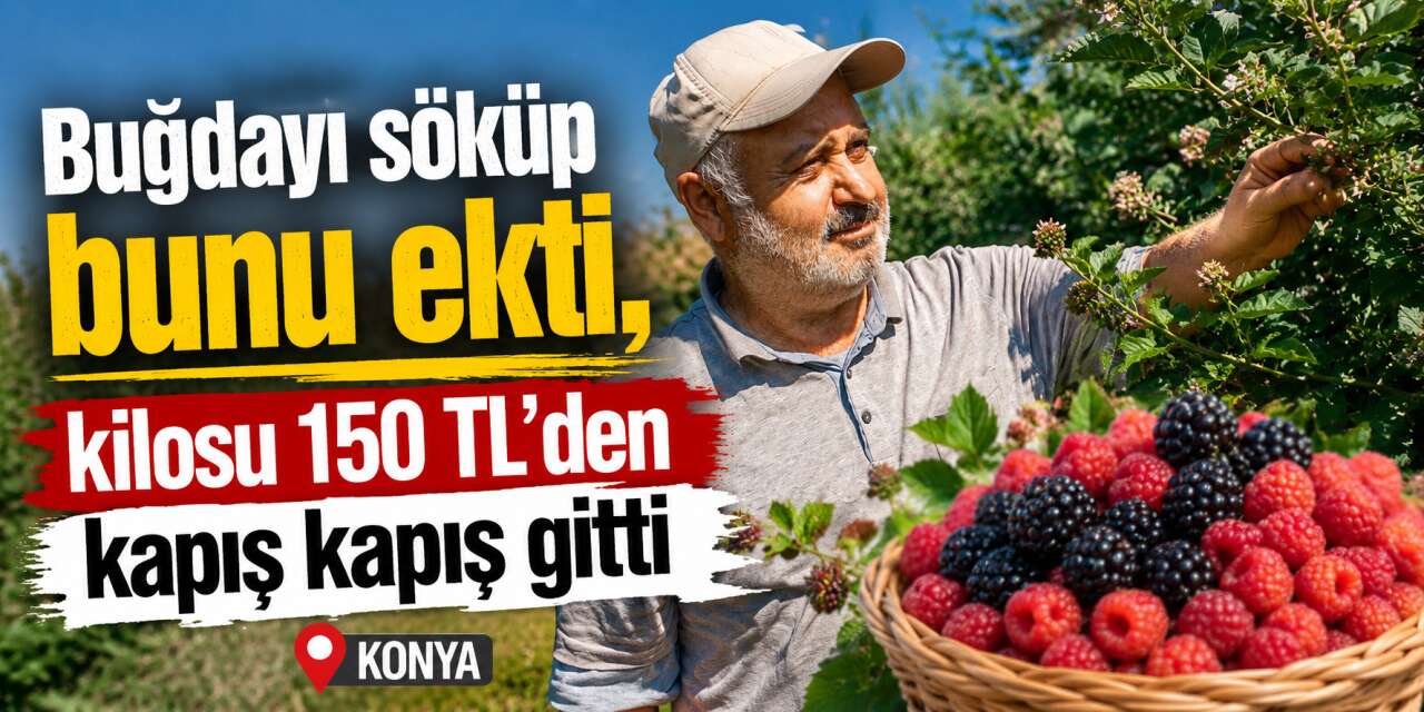 Konya’da tarlada devrim! Yeni kazanç kapısını Büyükşehir açtı