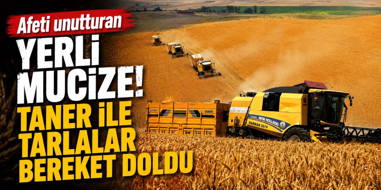 Taner bu yıl çiftçinin cebini dolduracak