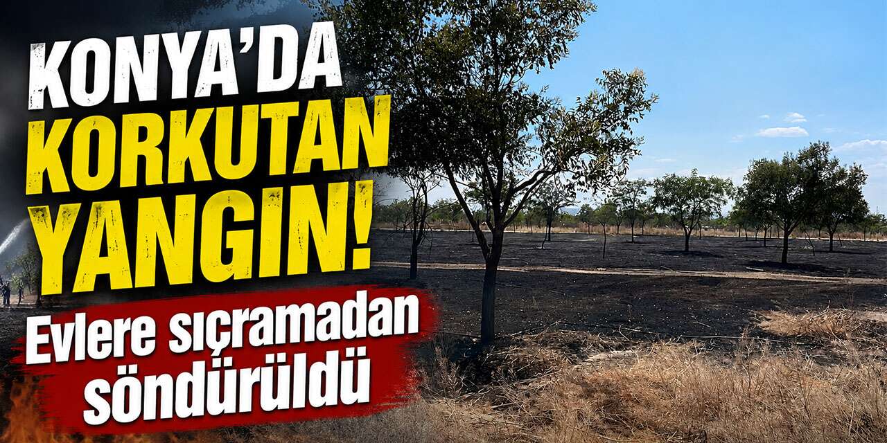 Konya'da ağaçlık alanda yangın! 4 dekar alan zarar gördü