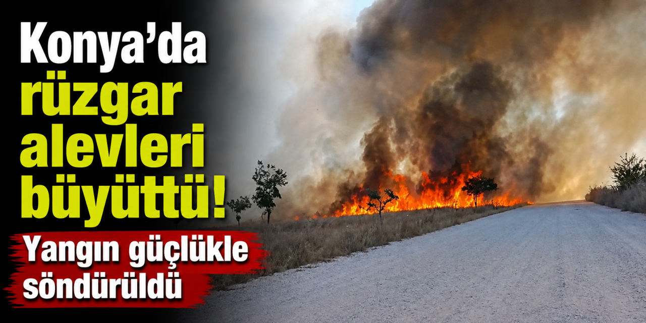 Konya'da ağaçlık alanda korkutan yangın! Ekipler seferber oldu