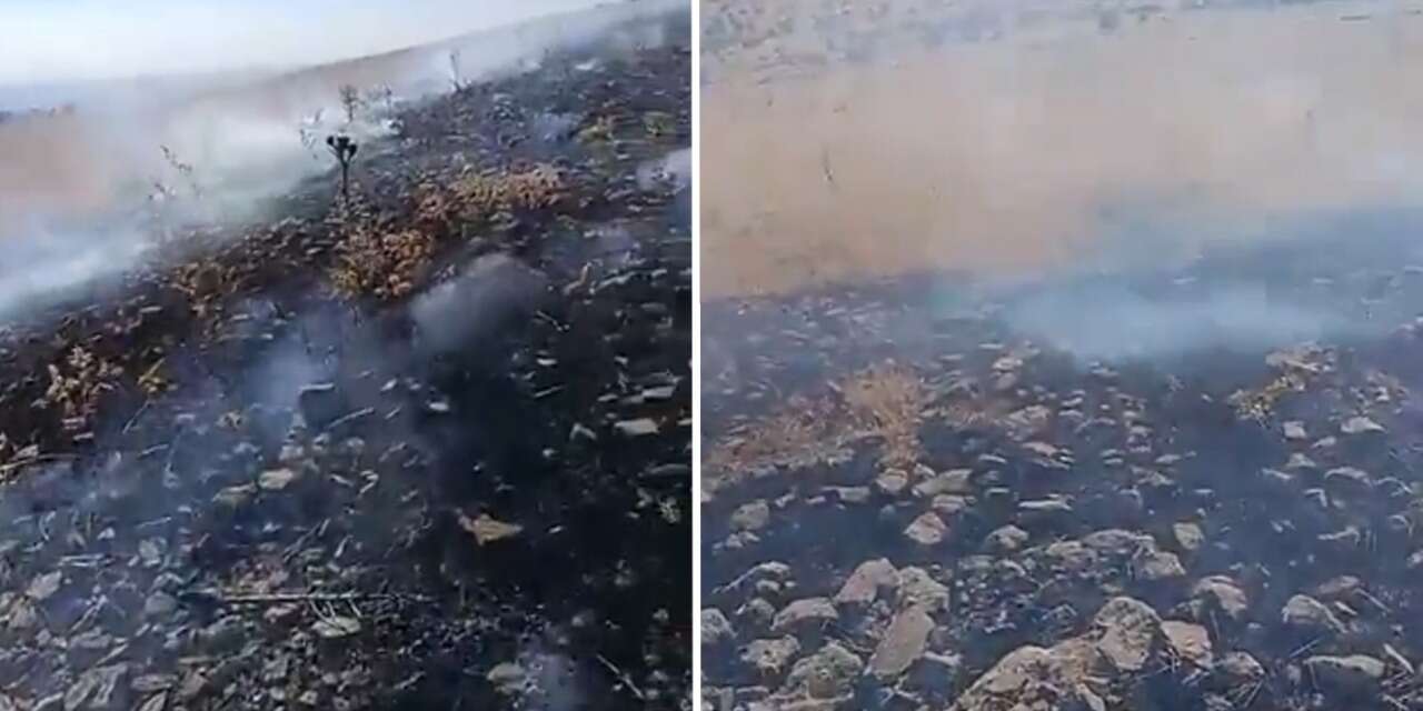 Konya’da kuruyan otlar alev aldı! Vatandaşlar seferber oldu
