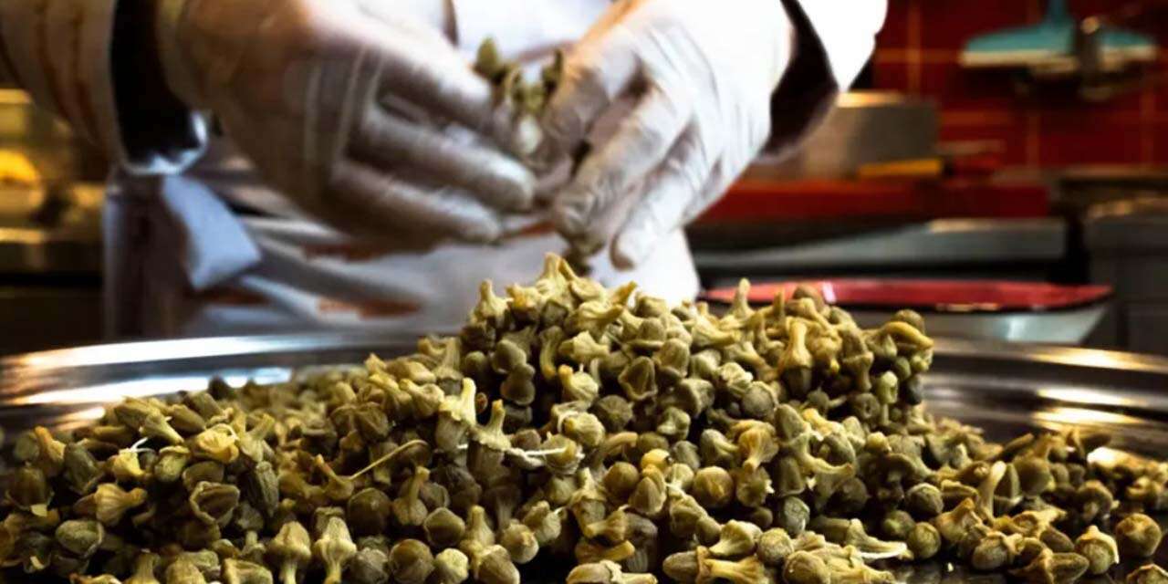 Konya'daki 2 tonluk bamya skandalı büyüyor! Yeni iddianame hazırlandı