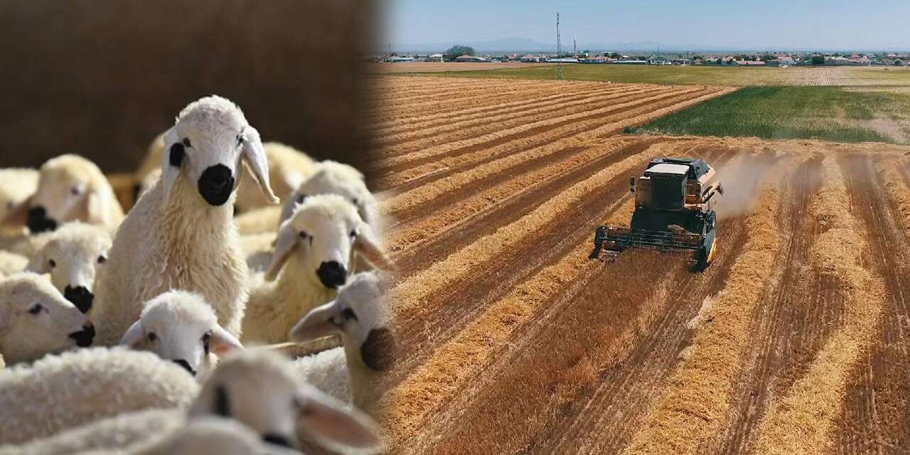 Konya’da tarım ve hayvancılık için dev adım! İmzalar atıldı