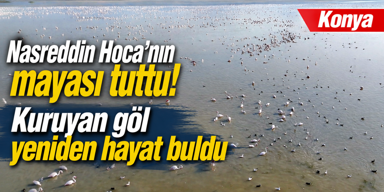 Konya’da kuruyan göl geri döndü! Hem kiraza hem flamingolara yaradı