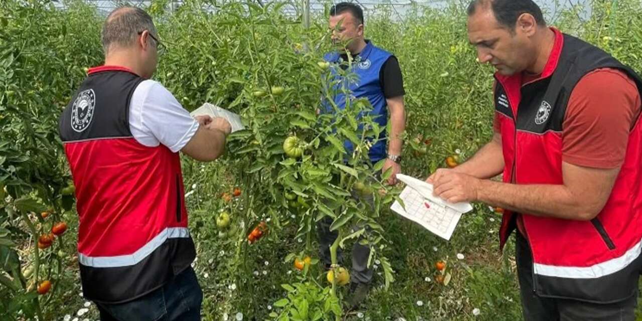 Konya’da ekipler sahada! Hasat başladı, denetimler sıklaştı