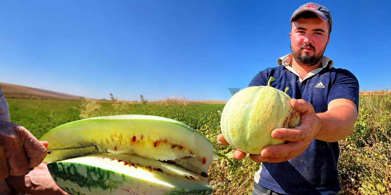 Kırım’dan Konya’ya ata tohumuyla uzandı! Eşsiz lezzet tescil bekliyor