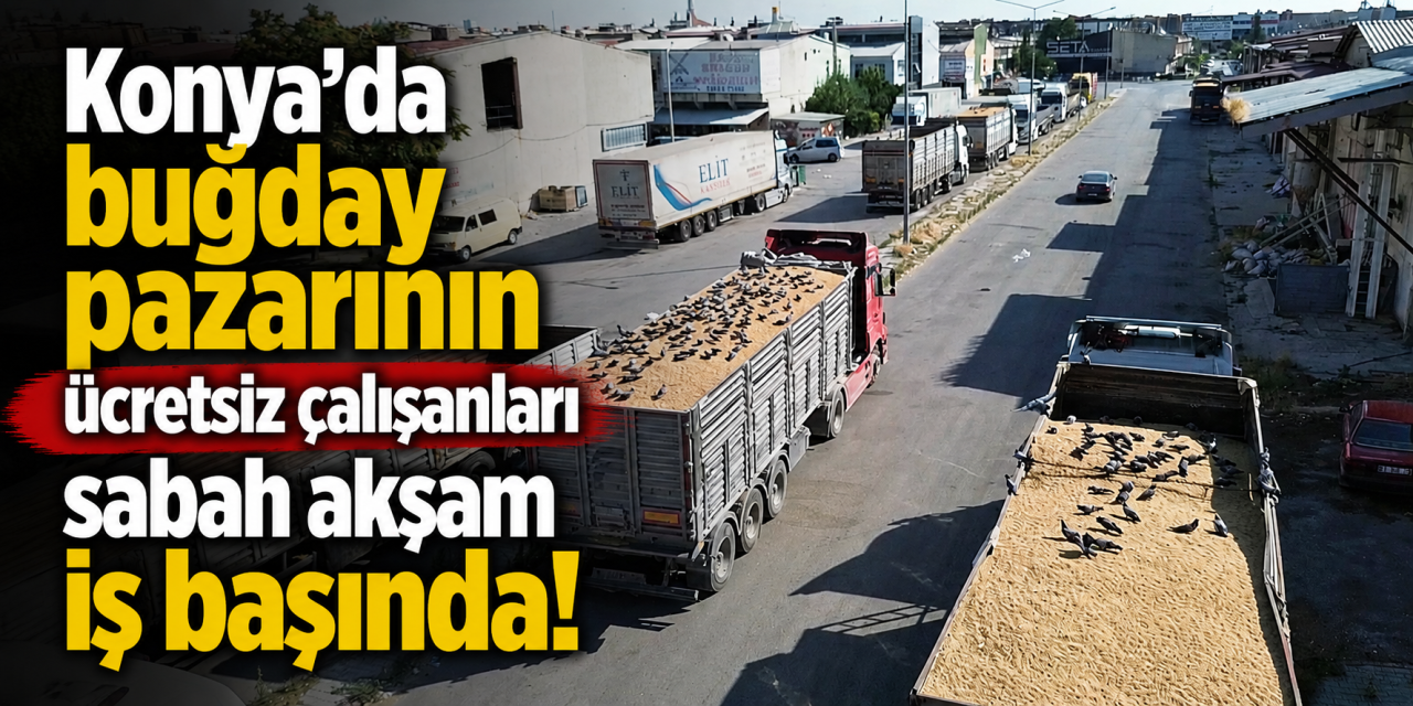 Konya’da buğday pazarının görünmez temizleyicileri! Karın tokluğuna çalışıyorlar