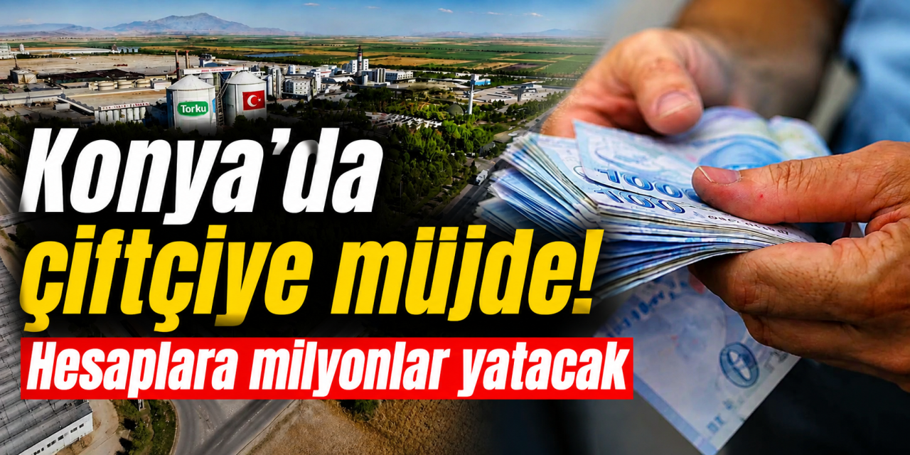 Konya Şeker’den patates üreticilerine büyük destek! 32 milyon 951 bin TL ödenecek