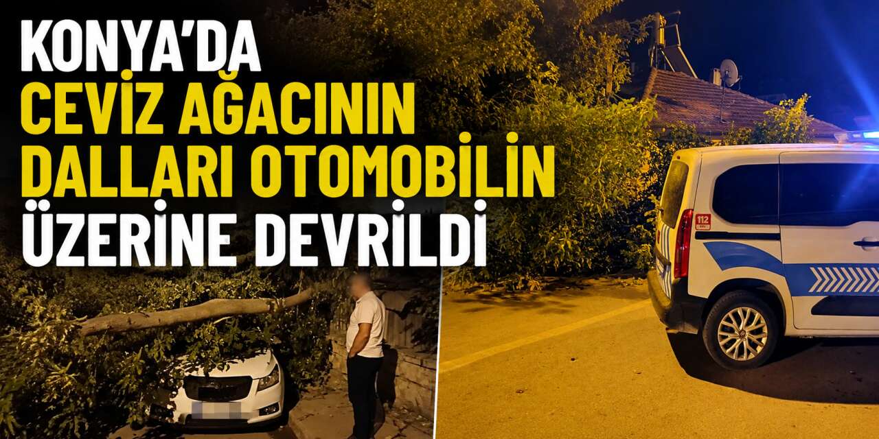 Konya’da aracın üzerine ağaç devrildi, sürücü dakikalarla kurtuldu