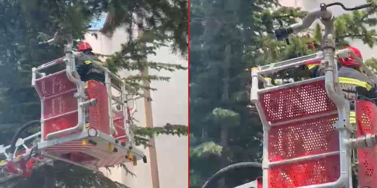Konya’da ekipler bu kez mahsur kalan kedi için harekete geçti