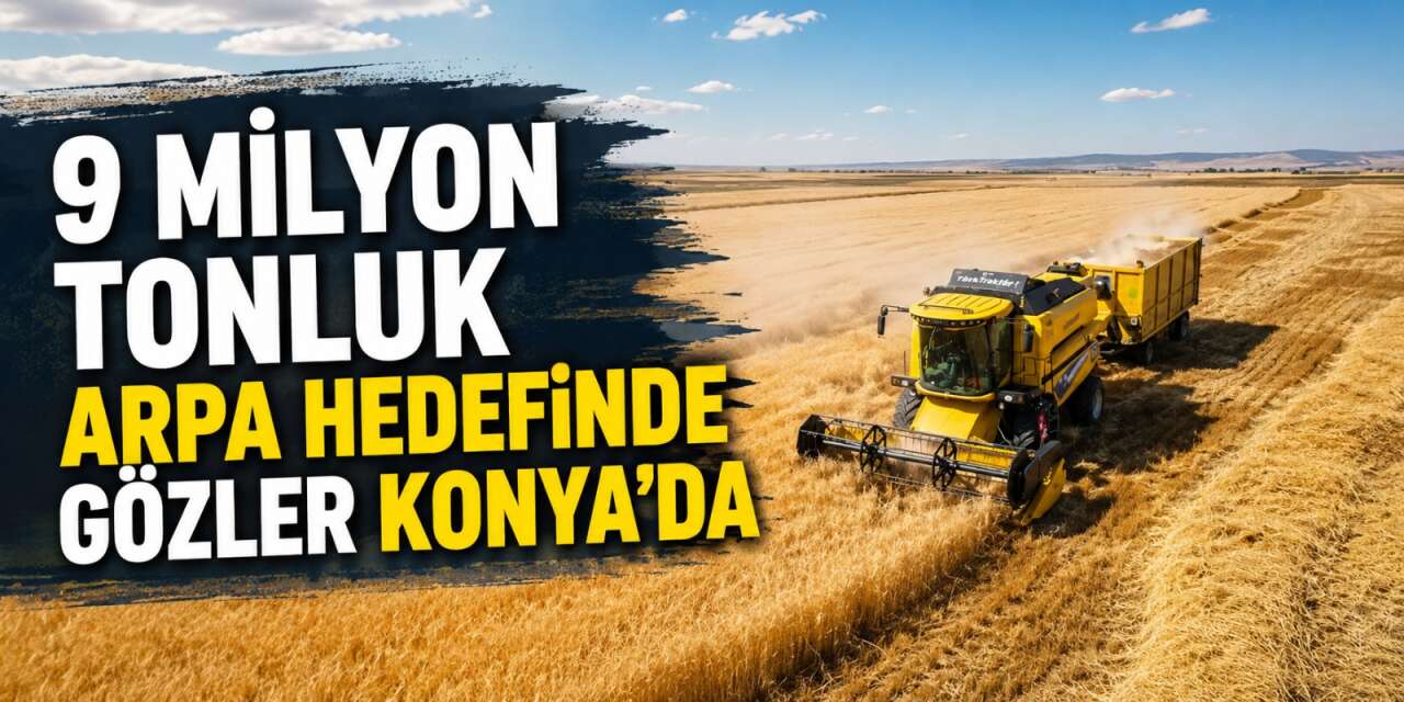 Kuraklığın ardından arpada büyük toparlanma! Gözler Konya’da