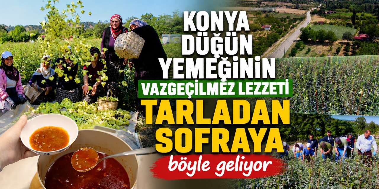 Konya düğün sofralarının vazgeçilmezi! Kilosu 1400 lira, topla topla bitmiyor