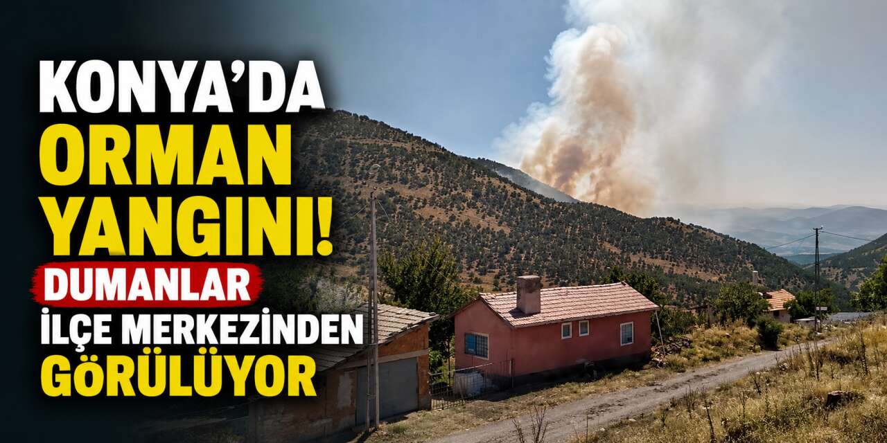 Konya’da orman yangını çıktı
