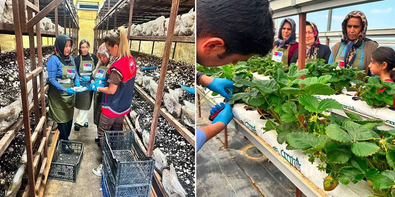 Konya’da tarımda yeni dönem! Üreticilere yeni yöntemler öğretiliyor
