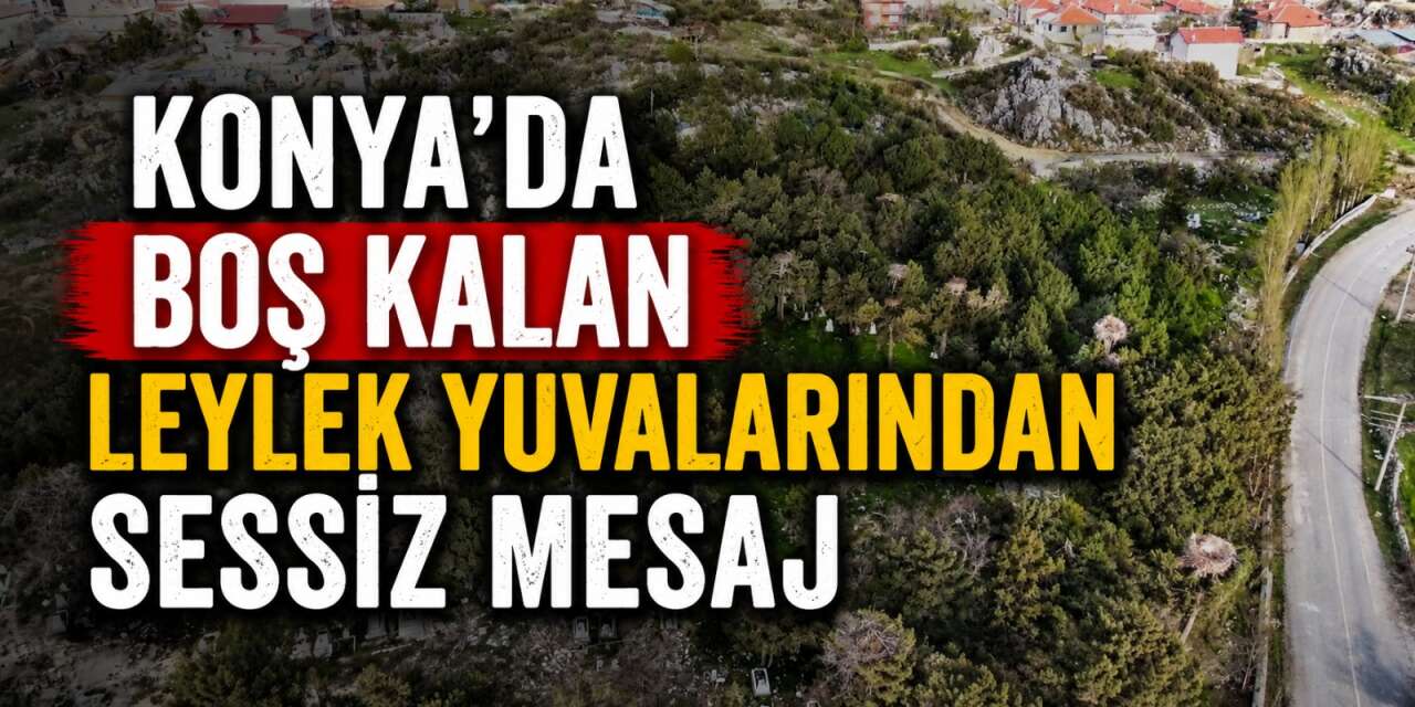 Konya’da sonbaharın sessiz izleri! Leylekler gitti, “lak lak” sesleri kesildi