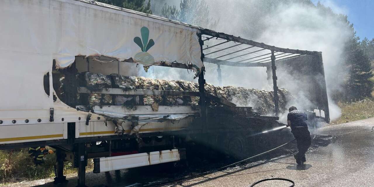 Şeker yüklü TIR alev alev yandı! Yangın ormana sıçradı