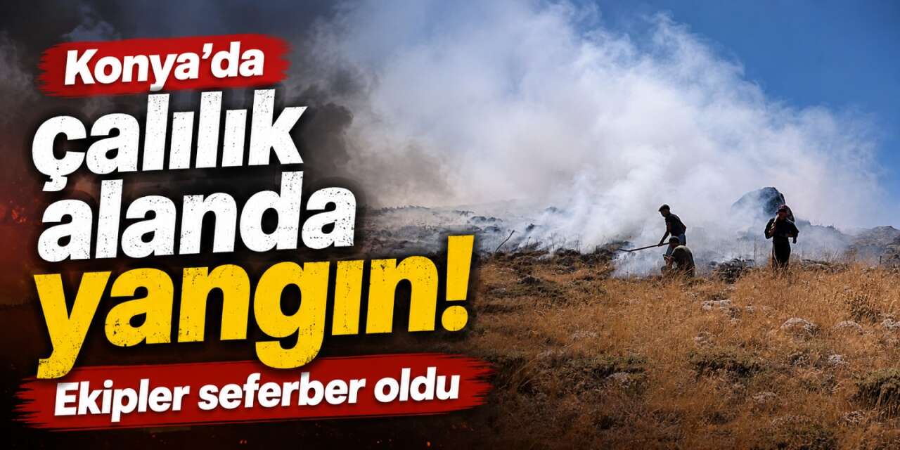 Konya’da yangın paniği! Çalılık alan alevlere teslim oldu