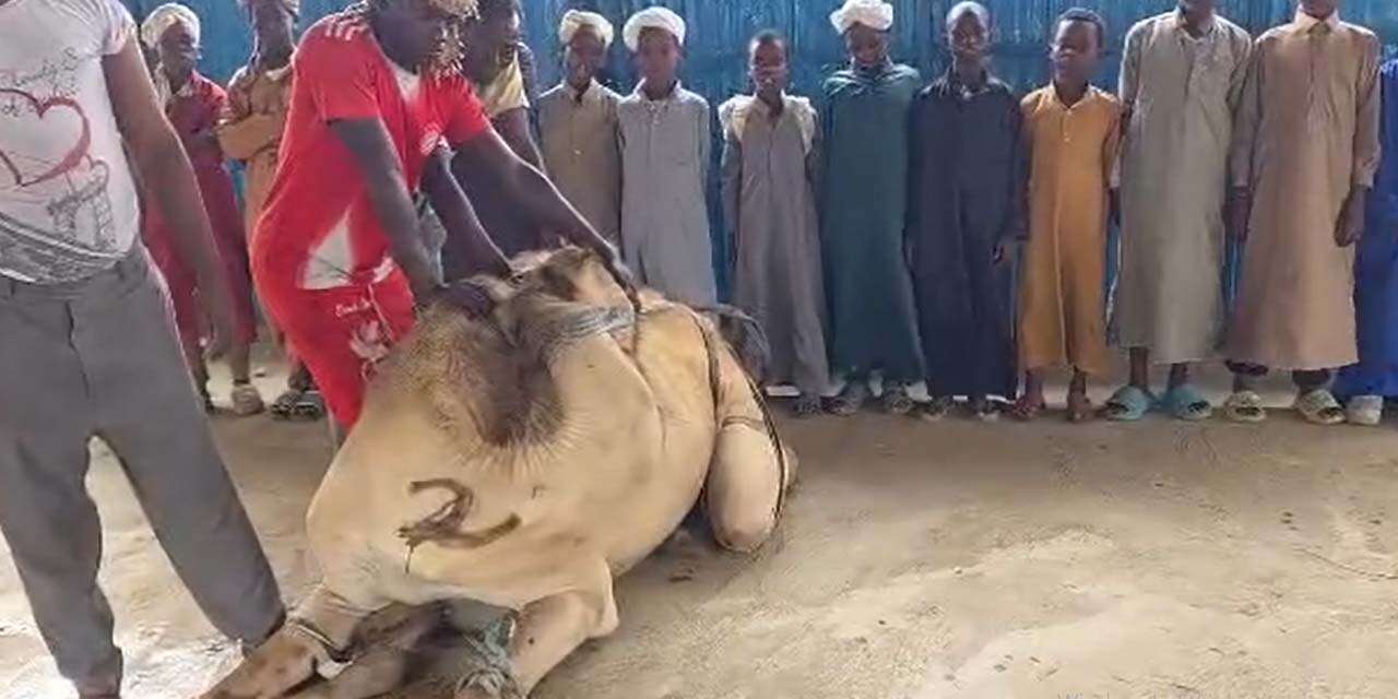 Konya’dan Afrika’ya uzanan yardımda Cumhurbaşkanı Erdoğan detayı! Bedduaya karşı dua