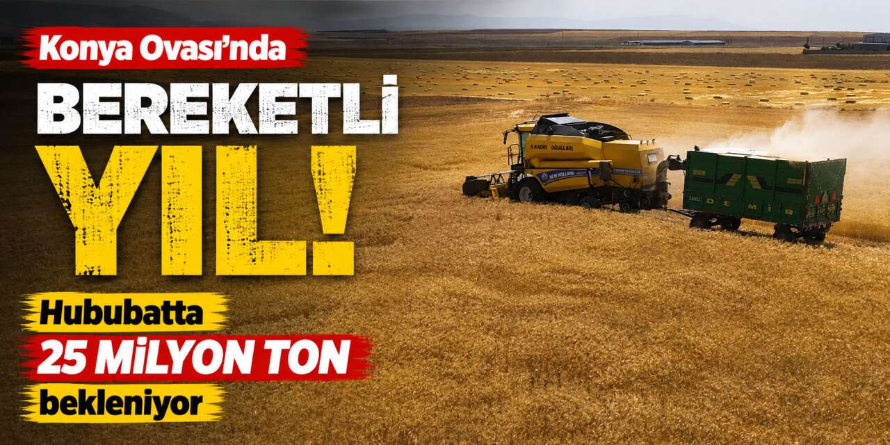 Konya’dan Türkiye’ye hububat müjdesi! Rekolte beklentisi 25 milyon ton
