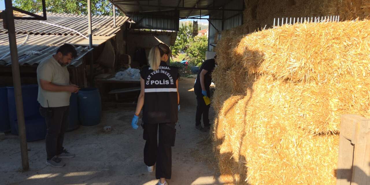 Çiftlikte silahlı kavga! Bir kişi vuruldu