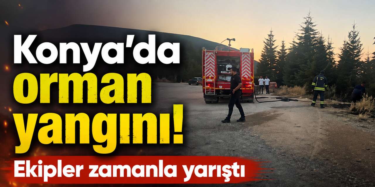 Konya’da ormanlık alanda yangın çıktı