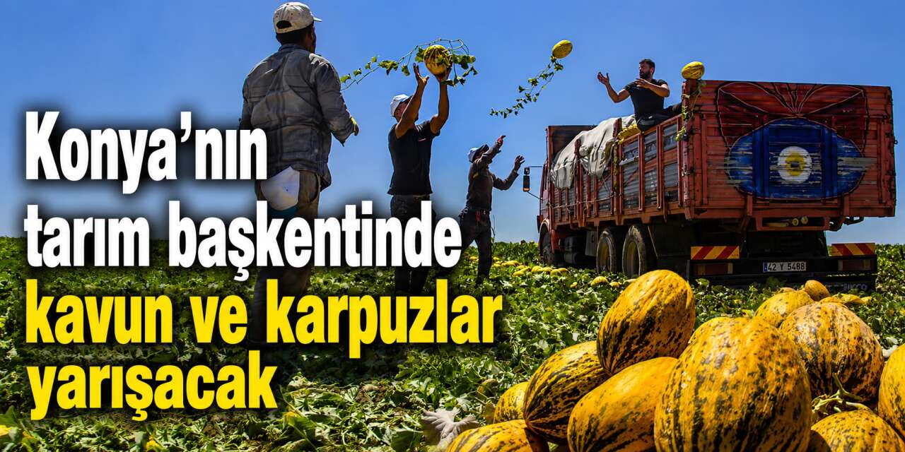 Konya’da en büyük ve en tatlı kavun aranacak! Çumra'da festival başlıyor