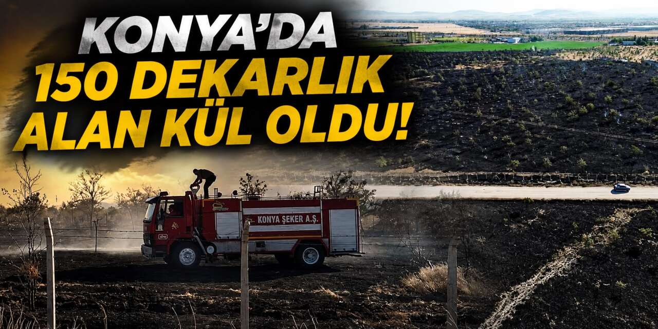 Konya’da ağaçlık alanda çıkan yangın söndürüldü! 150 dekarlık alan kül oldu