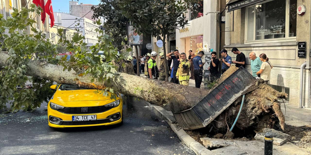 Kökünden sökülen ağaç taksinin üzerine devrildi