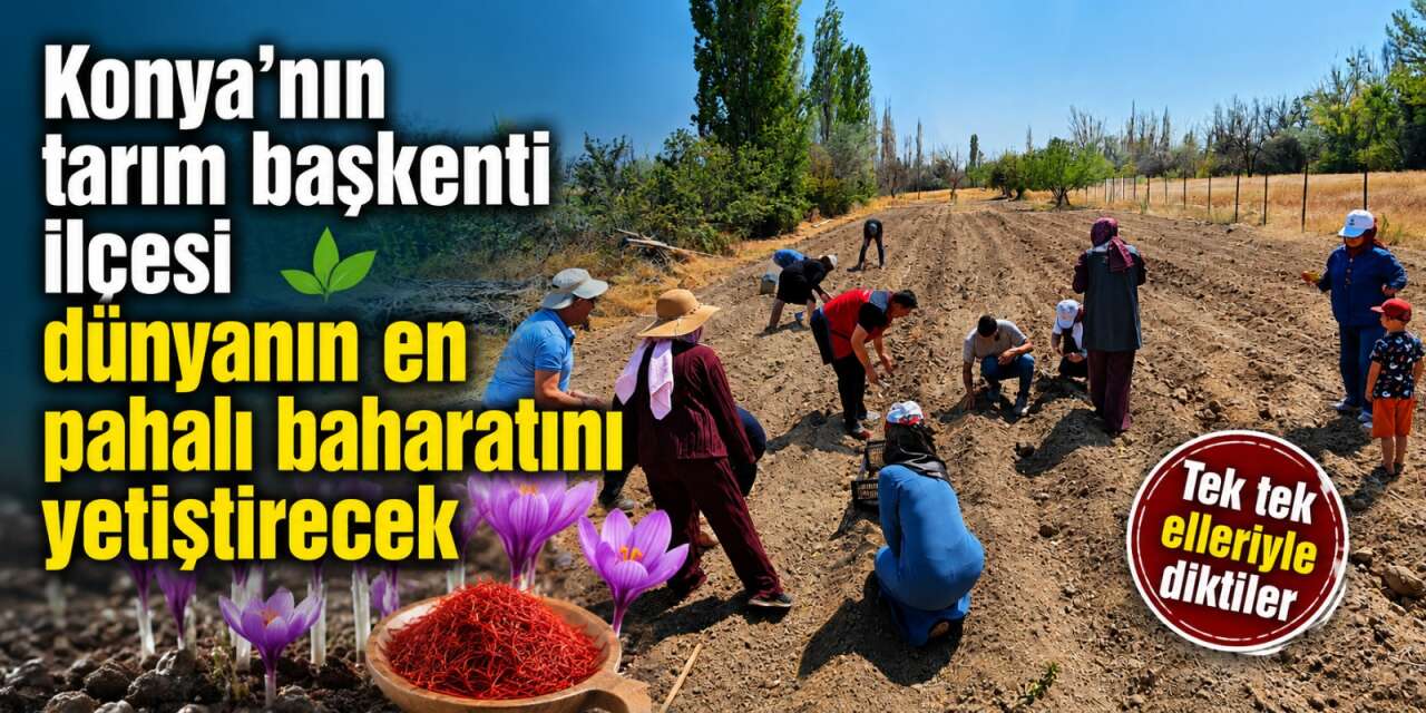 Artık Konya da üretecek! Gramı bile servet değerinde