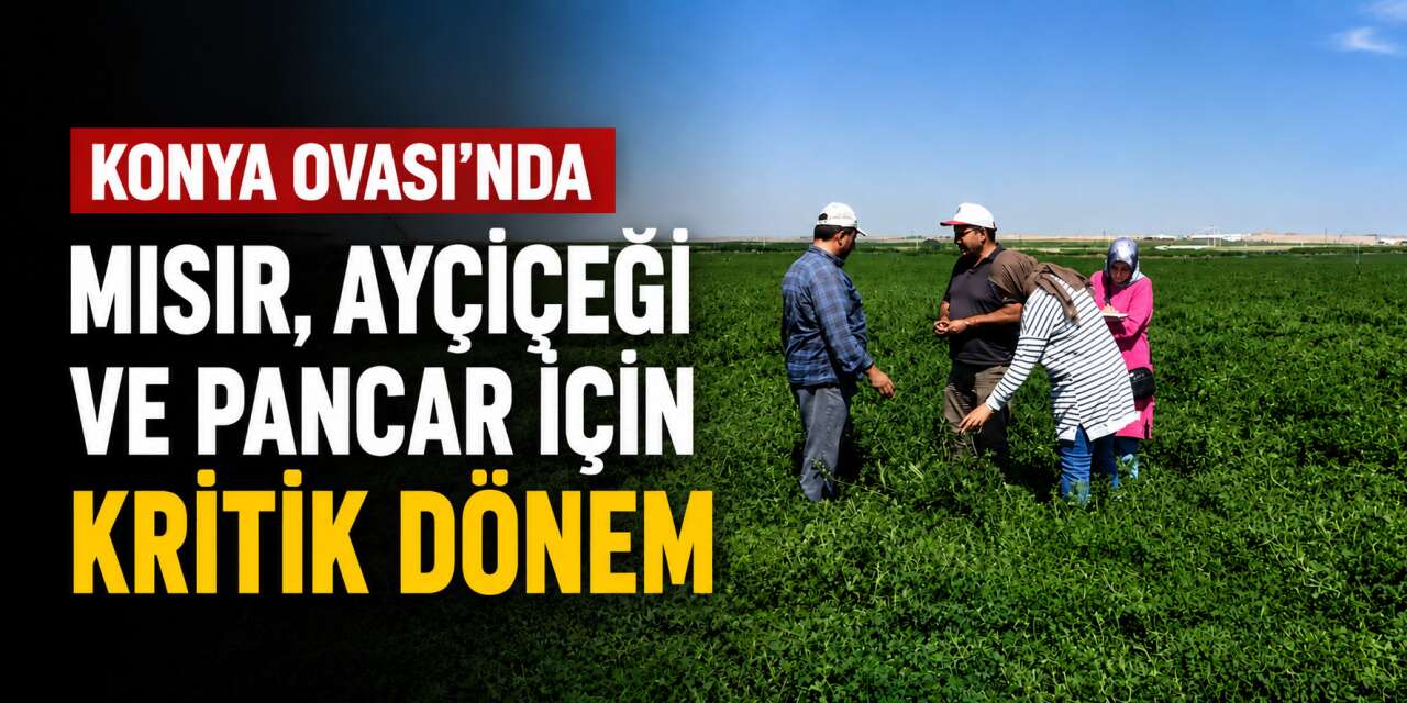 Konya’nın kritik ürünleri için çiftçinin gözü alım fiyatlarında