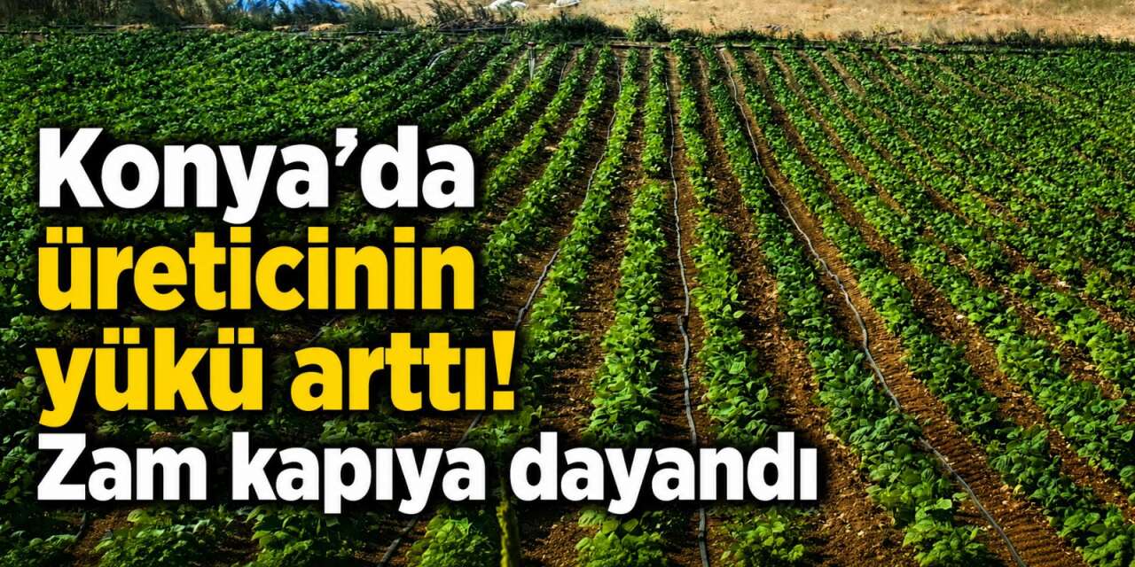 Konya’da tarlada işler karıştı, üreticinin hesabı şaştı