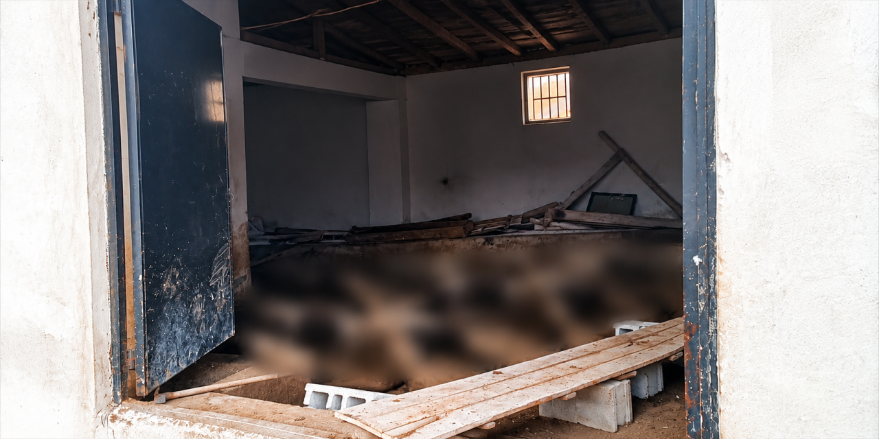 Ahıra gelen besici kahroldu! 143 koyunun ölüsünü buldu