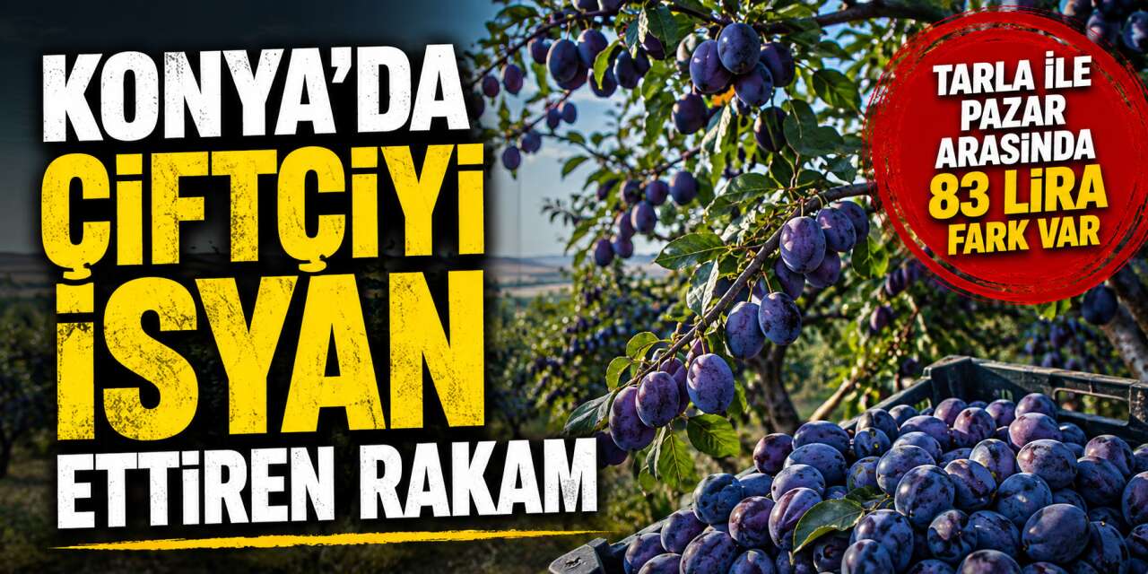 Konya’da çiftçi tepkili! Onlar 7 TL’ye satıyor, vatandaş 90 TL’ye alıyor
