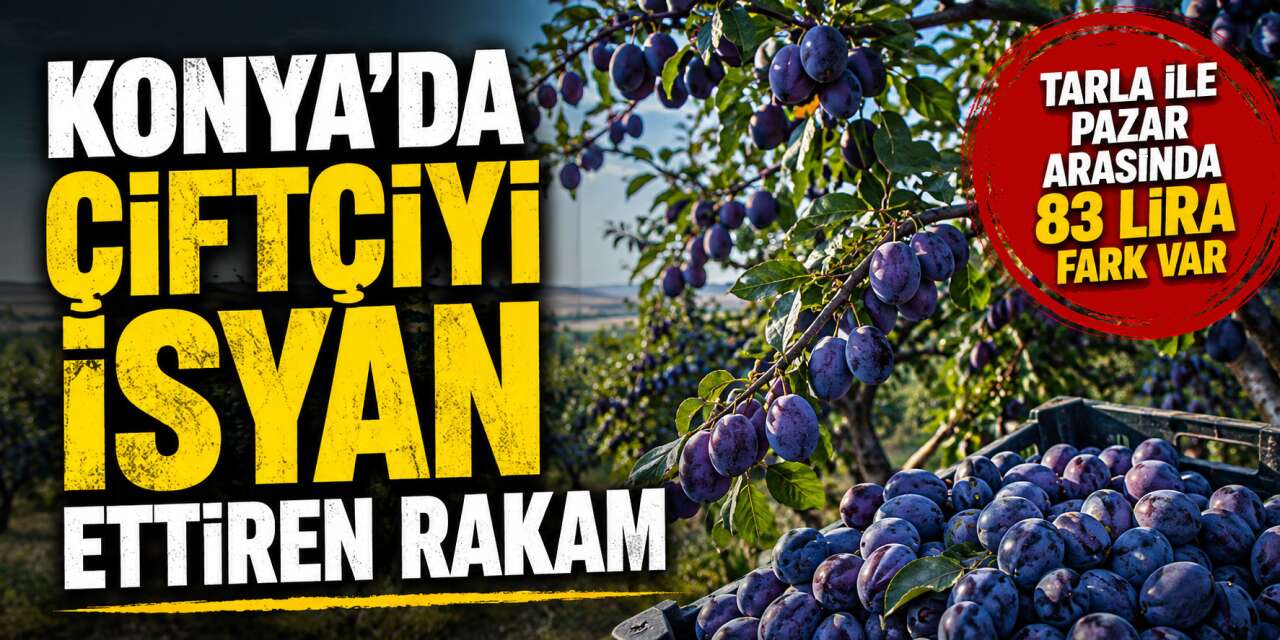 Konya’da çiftçi tepkili! Onlar 7 TL’ye satıyor, vatandaş 90 TL’ye alıyor