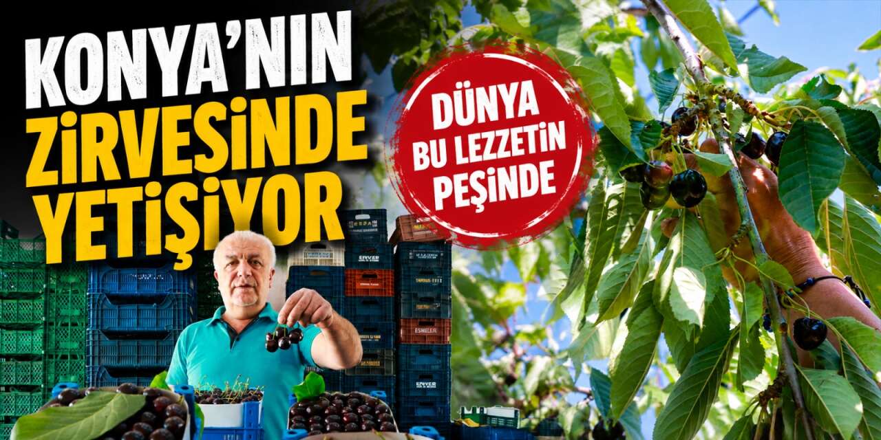 Konya’da rakım farkı hasadı uzattı, üreticinin kazancı arttı