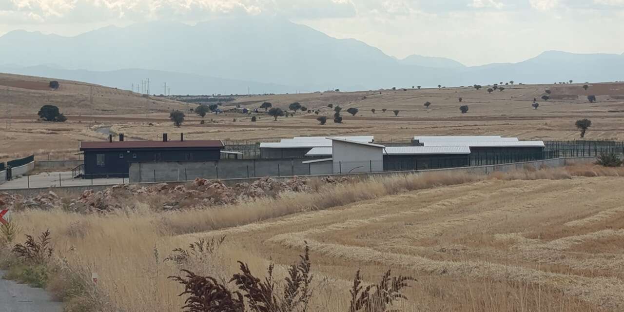 Konya’da sokak hayvanları için yeni barınak! 3 ilçeye hizmet verecek