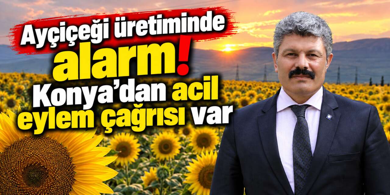 Konya’nın da iddialı olduğu üründe tehlike çanları çalıyor