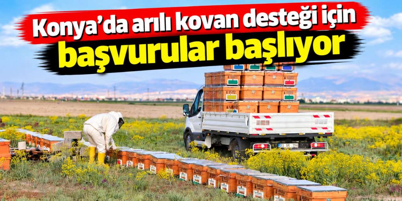 Konya’da arıcılara yüzde 50 hibe desteği! Başvurular 7 Eylül’de başlıyor