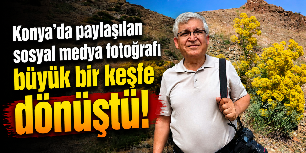 Dünyada sadece Konya’da! Sosyal medyadaki fotoğraf sayesinde literatüre girdi