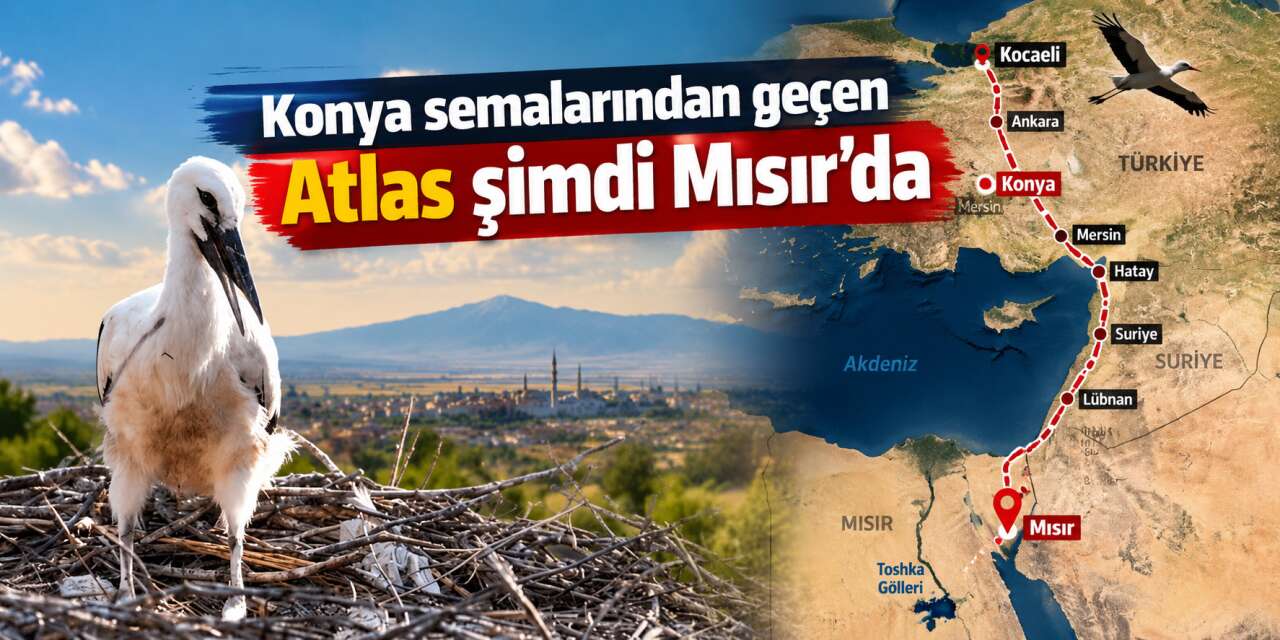GPS’li leylek Atlas’ın 2 bin kilometrelik yolculuğu! Konya’dan da geçti
