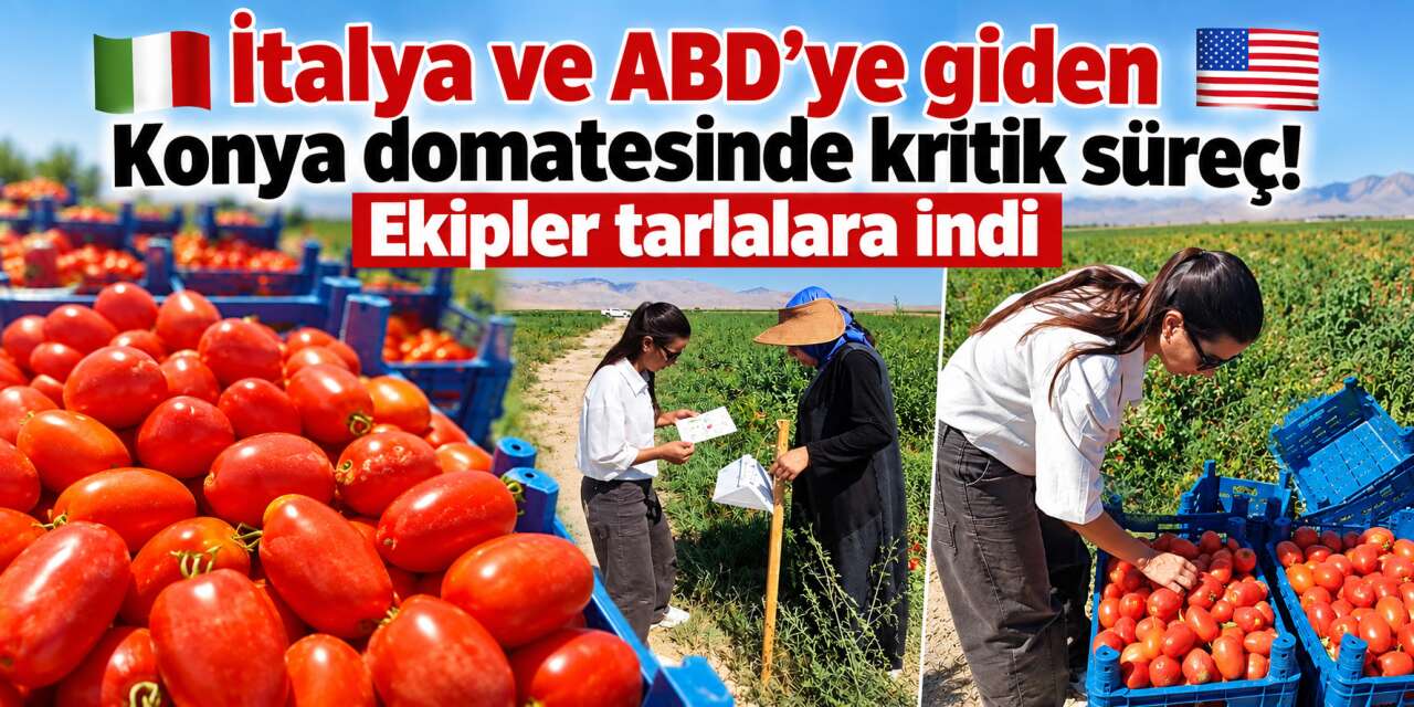 Konya’dan dünya mutfağına giden ürüne sıkı takip