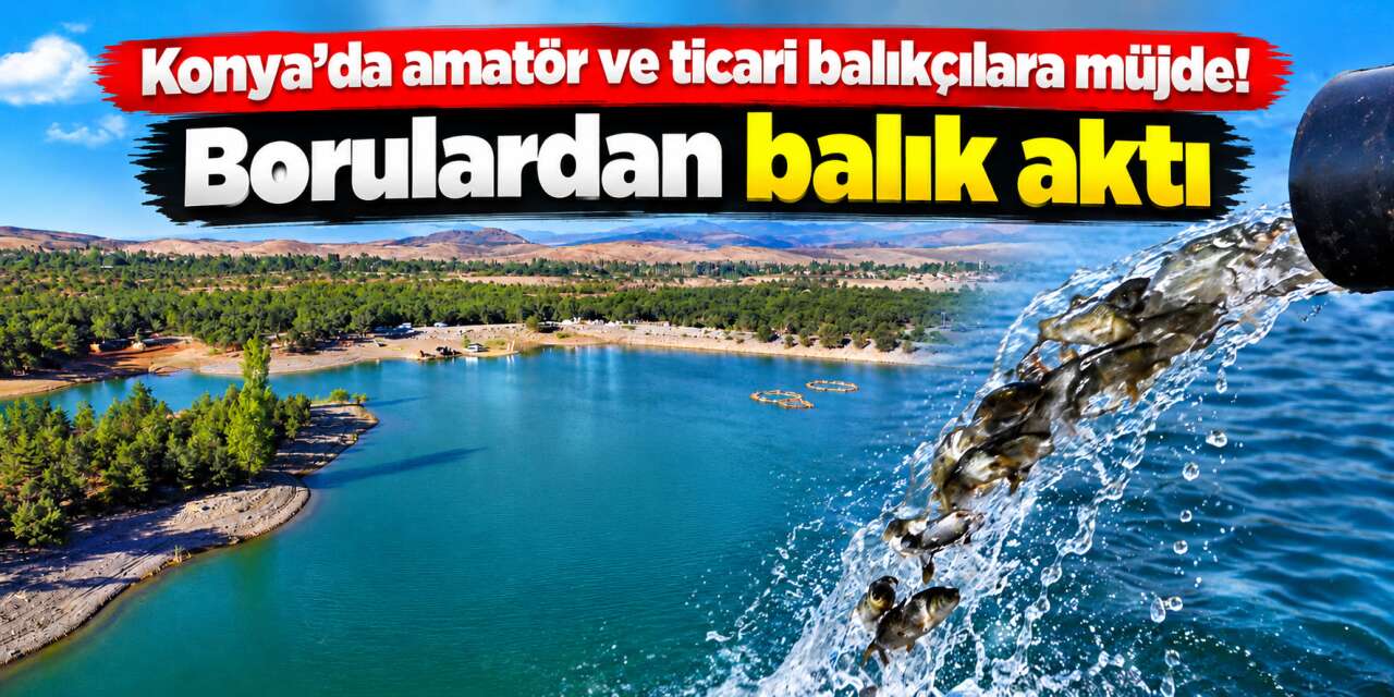 Konya’daki iki göletin artık 450 bin yeni sakini var