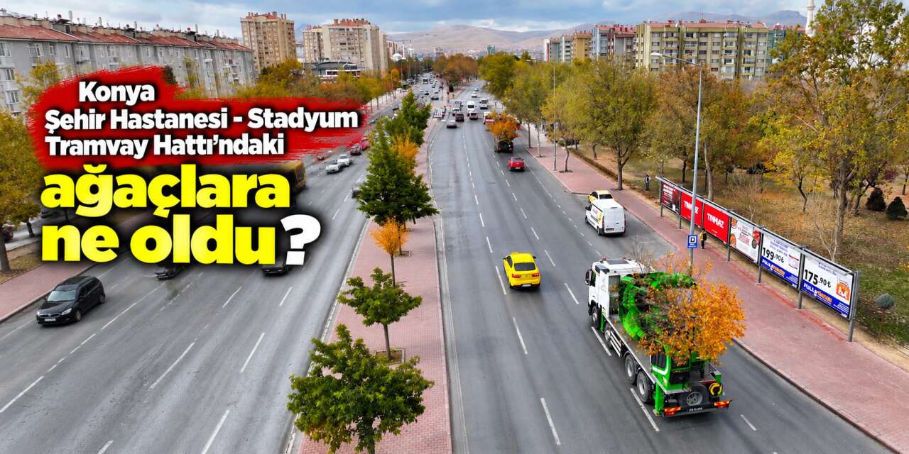 Konya’da tramvay çalışması nedeniyle kaldırılan ağaçların akıbeti belli oldu