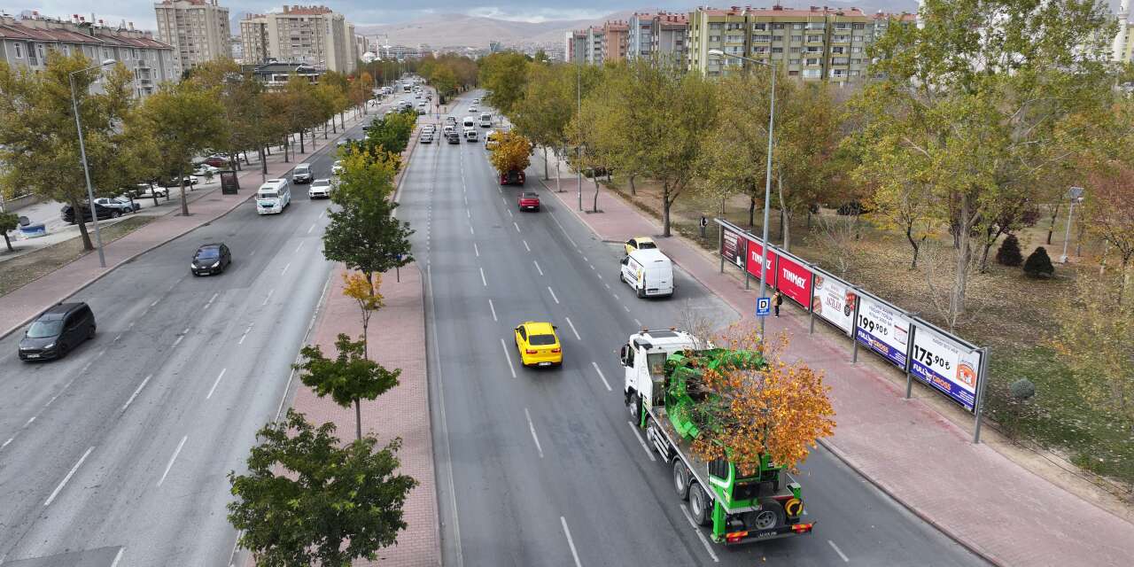 Konya’da tramvay çalışması nedeniyle kaldırılan ağaçların akıbeti belli oldu